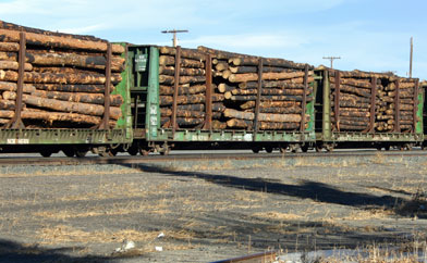 Train Load of Timber