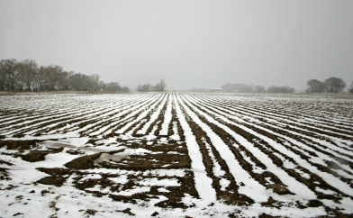 Snow covered field furrows