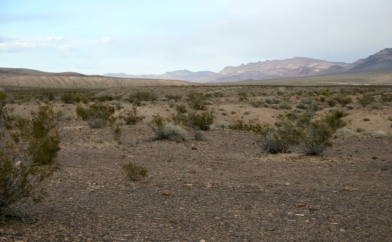 Delamar Wilderness