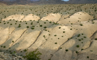Eroded Mounds