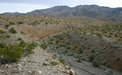 Desert Wash