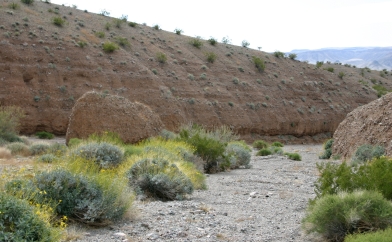 Dangerous Desert Wash