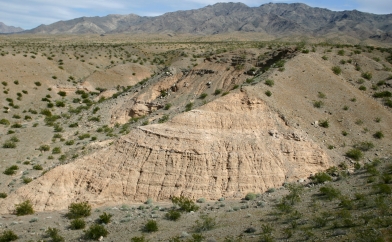 Rock face exposed by erosion