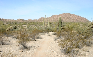 Trail beginning