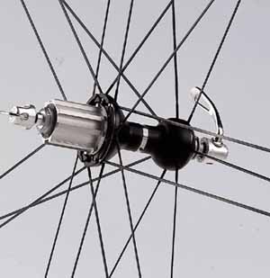 Campy Euros OS Hub Closeup