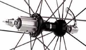 Campy Neutron Hub Closeup