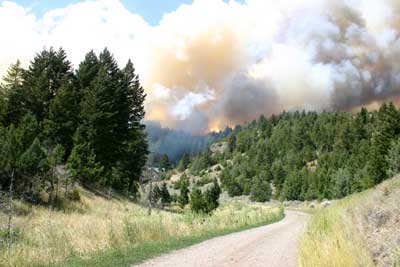 Moving towards the fire