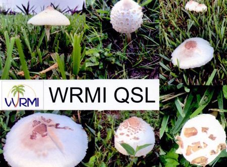 QSL from WRMI in Okeechobee, Florida 