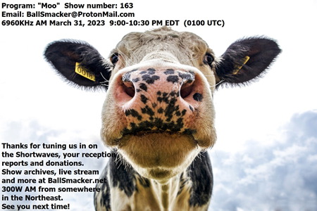 QSL from Ball Smacker