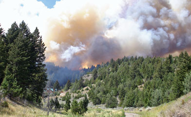 Forest Fire surrounds Tim Brockett