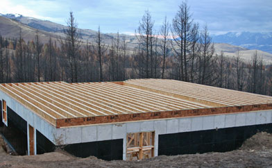 Floor Joists