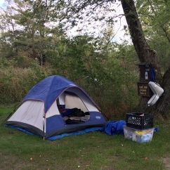 Tent Camping at South Guildhall Site