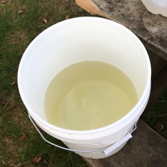 Yellow river water