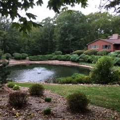 Mosquito Pond