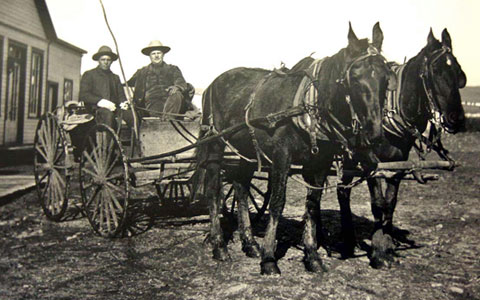 Horses and a Wagon in South Pass City