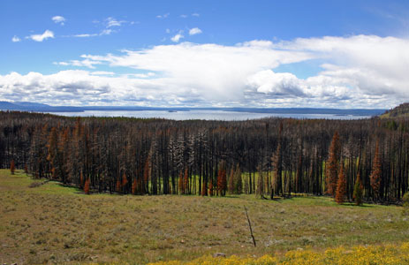 Yellowstone Lake