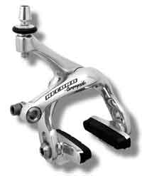 Record Rear Differential Caliper