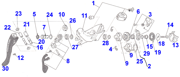 Campy Ergo Lever  Parts