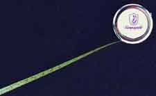 Campy Tape Measure