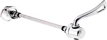 Record Skewer