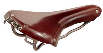 Brooks Swallow in Brown